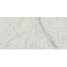 ICEBERG 60x120