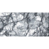 Carrelage intérieur gris effet marbre 60x120cm Bluetta