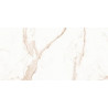 Calacatta Dolce Gold  60x120cm