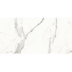 Calacatta Dolce  60x120cm