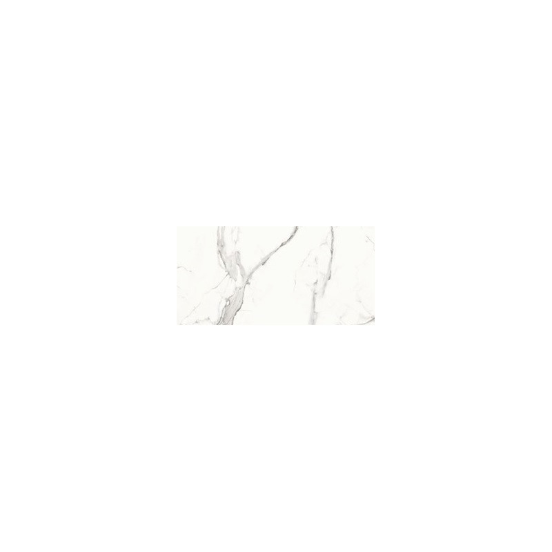 Calacatta Dolce  60x120cm