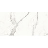 Calacatta Dolce  60x120cm