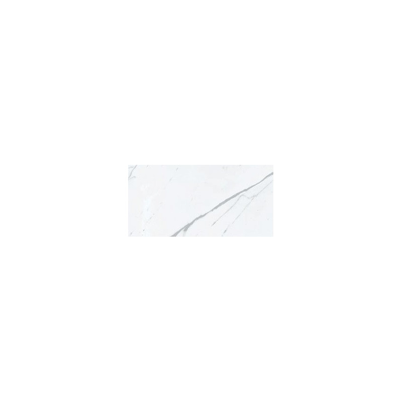 Calacatta Calma  60x120cm