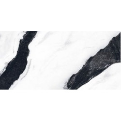 Panda Marble 60x120