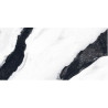 Panda Marble 60x120