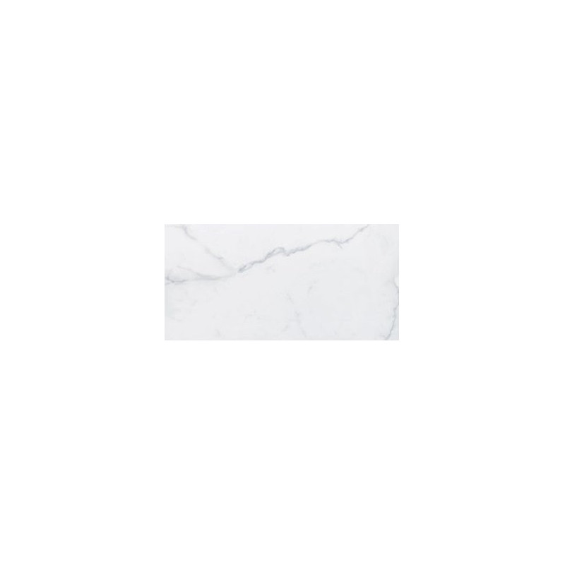 Carrelage intérieur blanc effet marbre gris 60x120cm Statuario