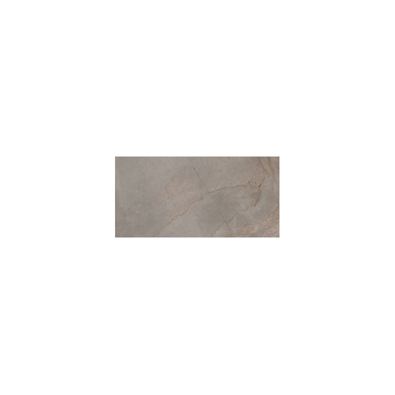Carrelage intérieur taupe effet marbre 60x120cm Vivaldi Vison