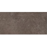 LUXURY  CEMENT 60X120