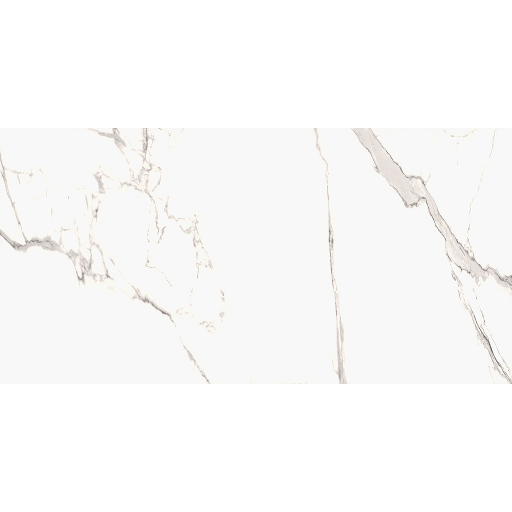 Statuario Goya 60x120