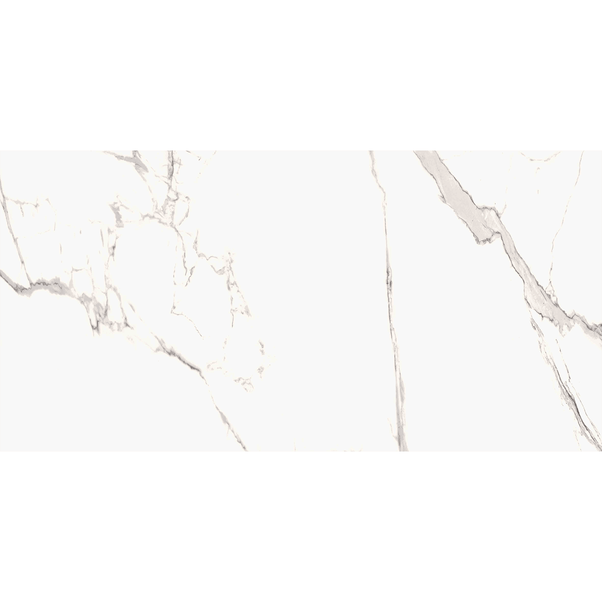 Statuario Goya 60x120