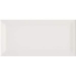 Metro Glossy 10x20
