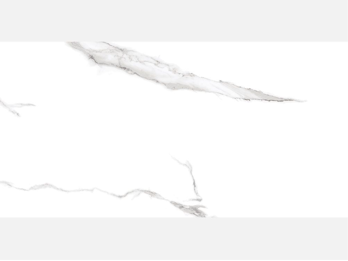 Statuario 60x120